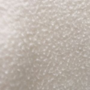 Meet your Posher, Sherri